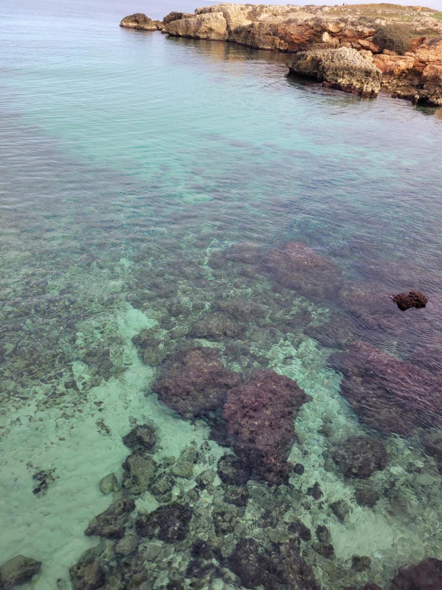 Cala Paradiso Monopoli Exteriér fotografie
