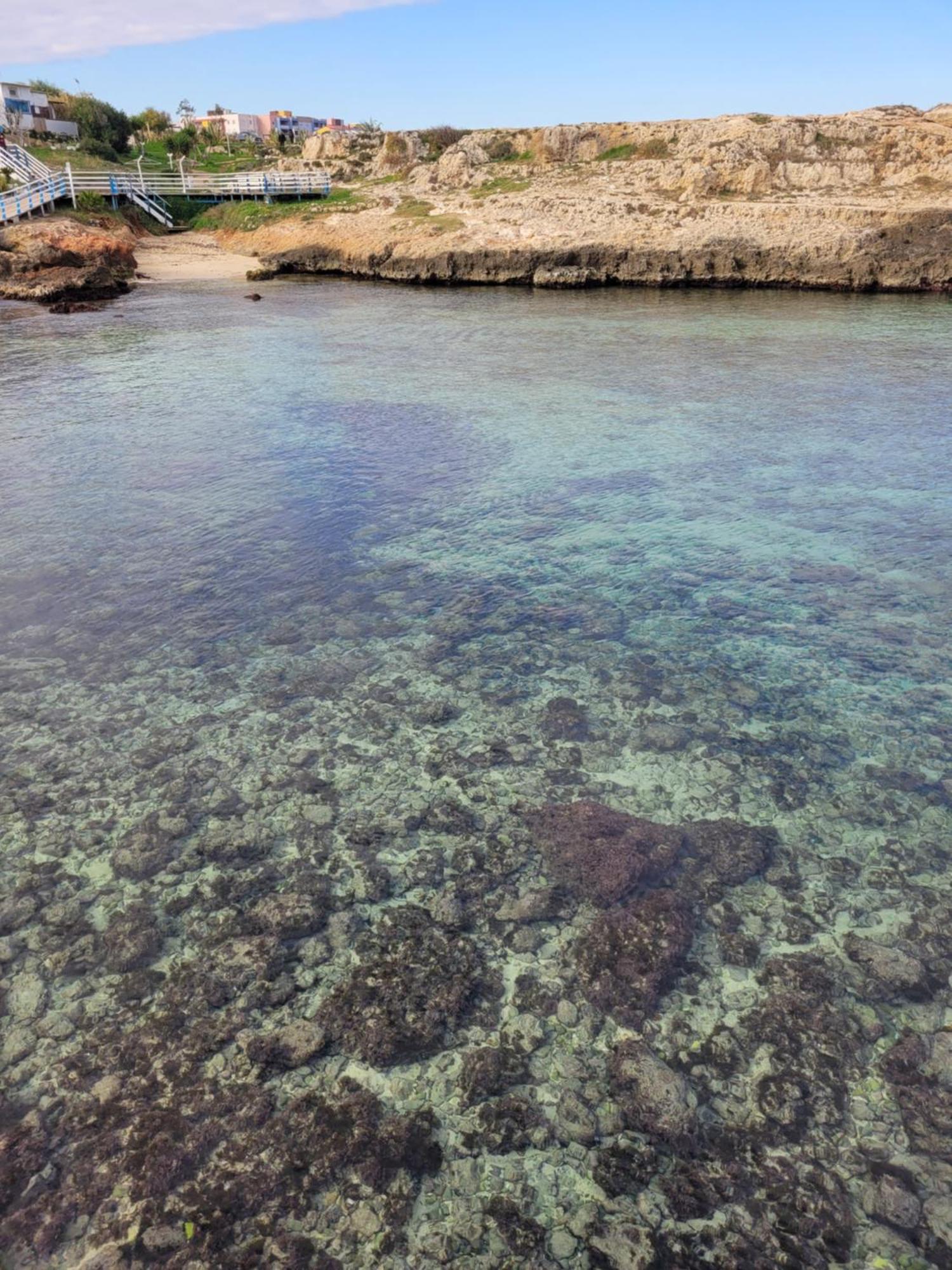 Cala Paradiso Monopoli Exteriér fotografie